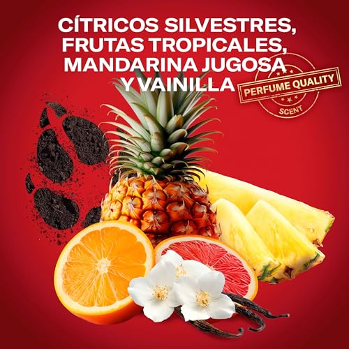 Detalle de Old Spice Wolfthorn desodorante en barra para hombres (4x50 ml) con frescura 24 horas