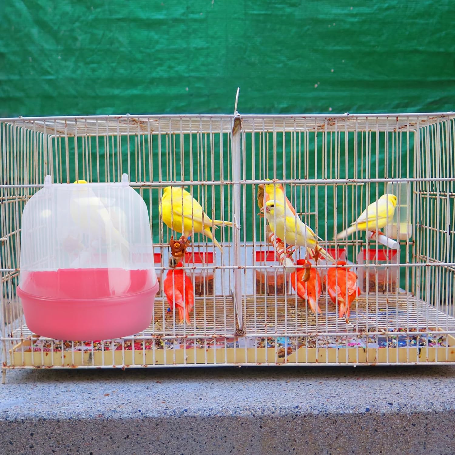 Thumbnail 2 de ULTECHNOVO Bird Bath for Cage