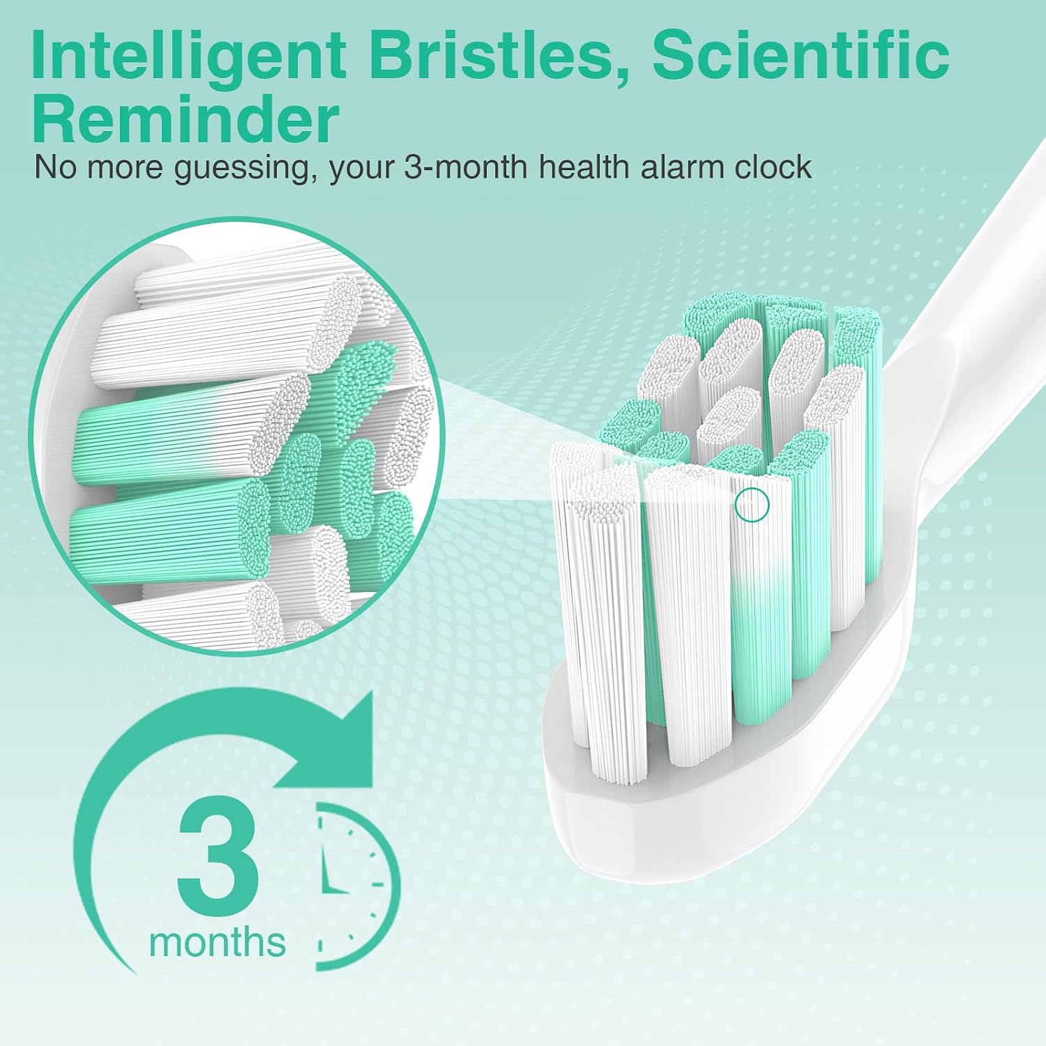 Detalle 1 de Aoremon Sonicare Replacement Toothbrush Heads, 8 Count