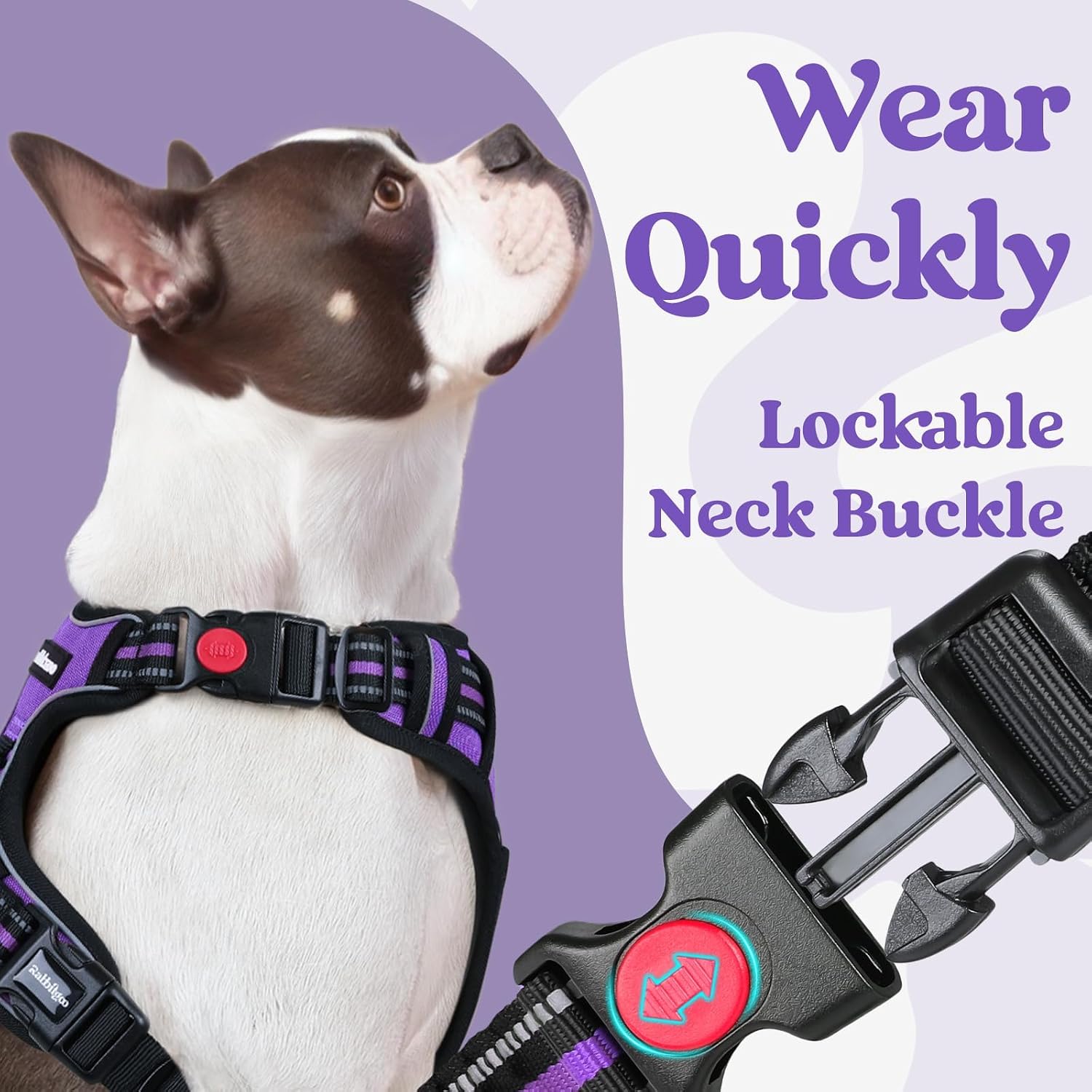 Detalle 2 de rabbitgoo DGBDSCKK01LPE24CW-EU Dog Harness, Large Purple, 3 Buckles