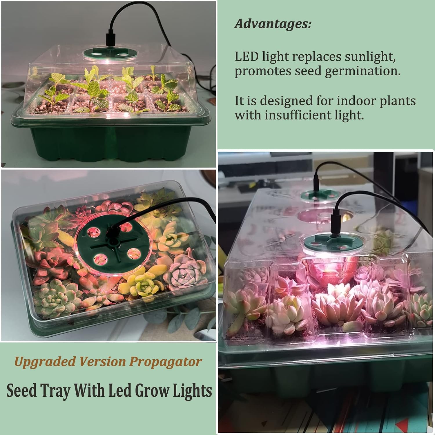 Detalle 2 de VDYXEW seed tray propagator with lights