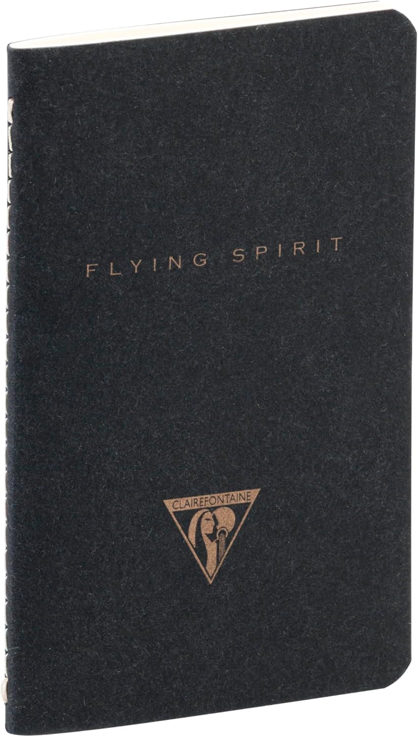Thumbnail 2 de Clairefontaine 102586C – Paquet de 10 carnets piqués cousus Flying Spirit, 48 pages, ivoire, 7,5 × 12 cm