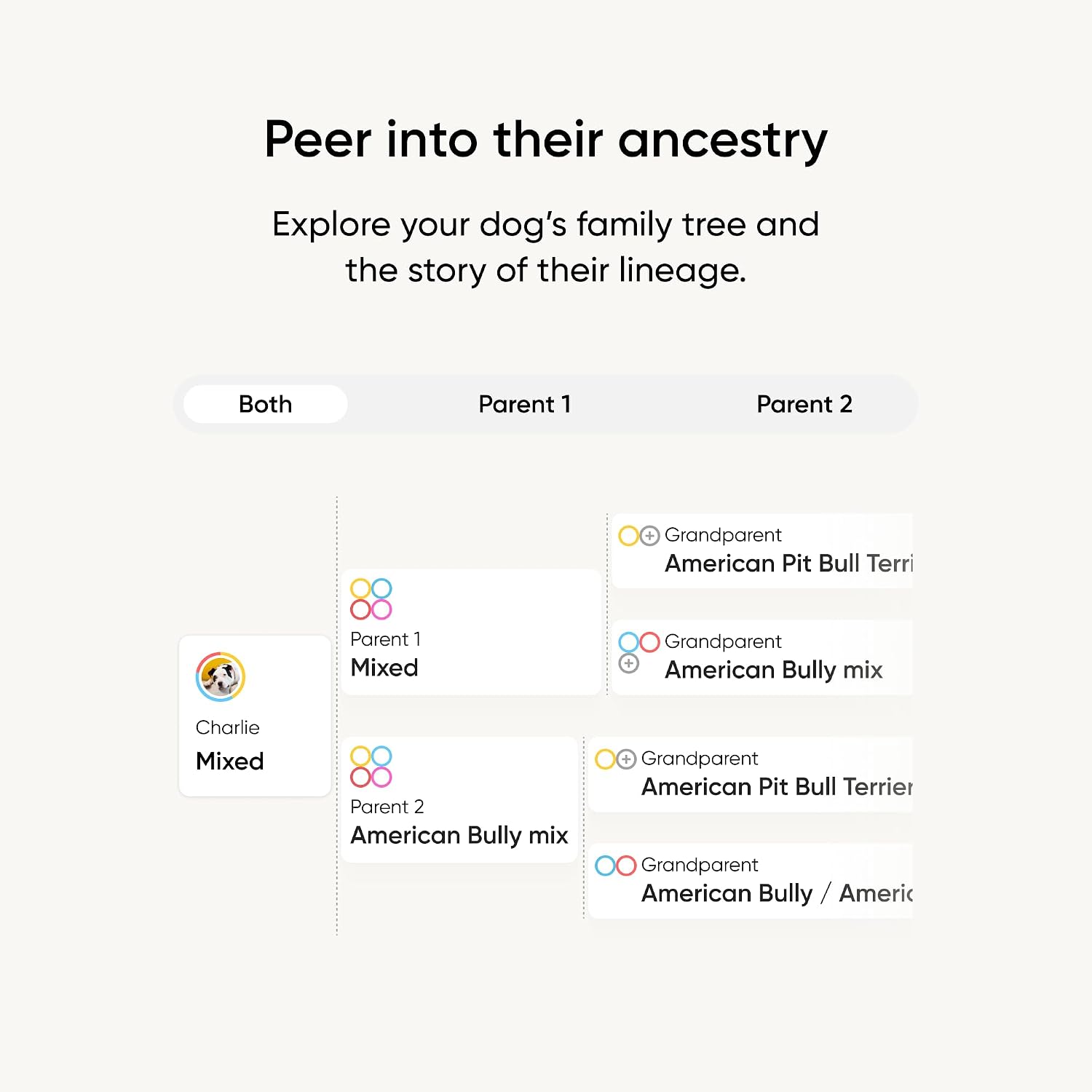 Detalle 2 de Embark Breed Identification Kit 99% accuracy