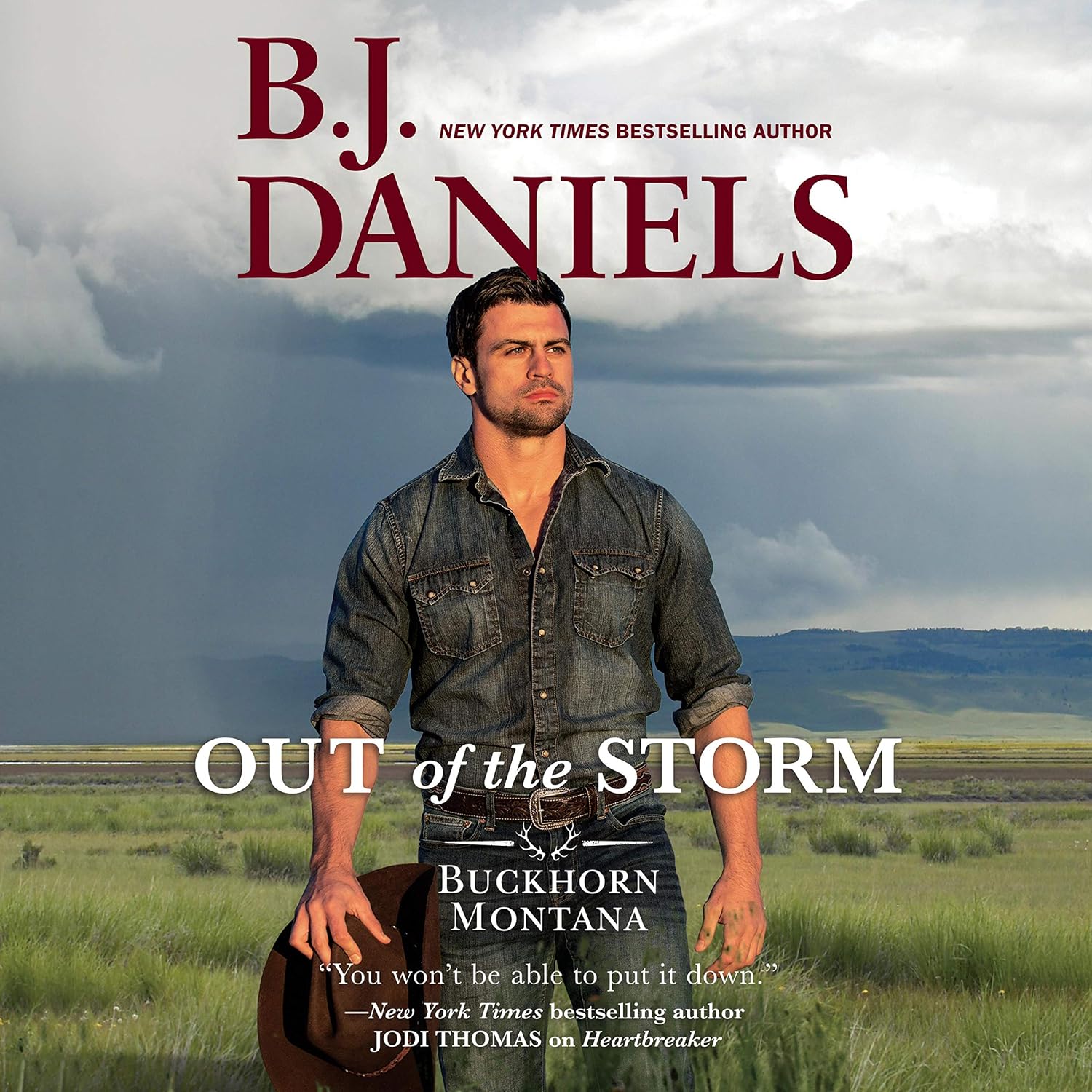 Detalle de Out of the Storm: Unabridged Audiobook by B.J. Daniels, 8 Hours 11 Minutes