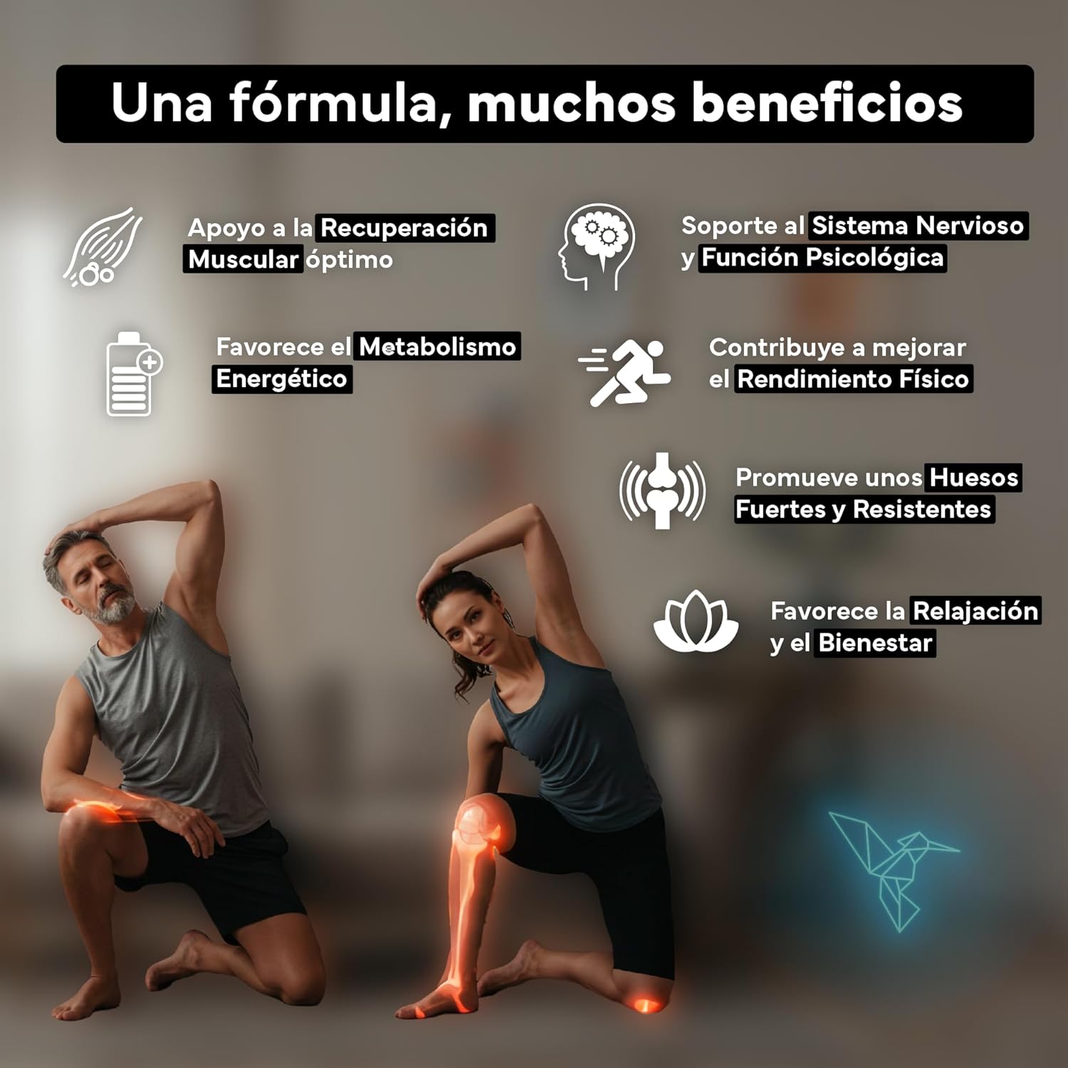 Thumbnail 2 de SEVENS NUTRITION Magnesio Complex 180 comprimidos 💊