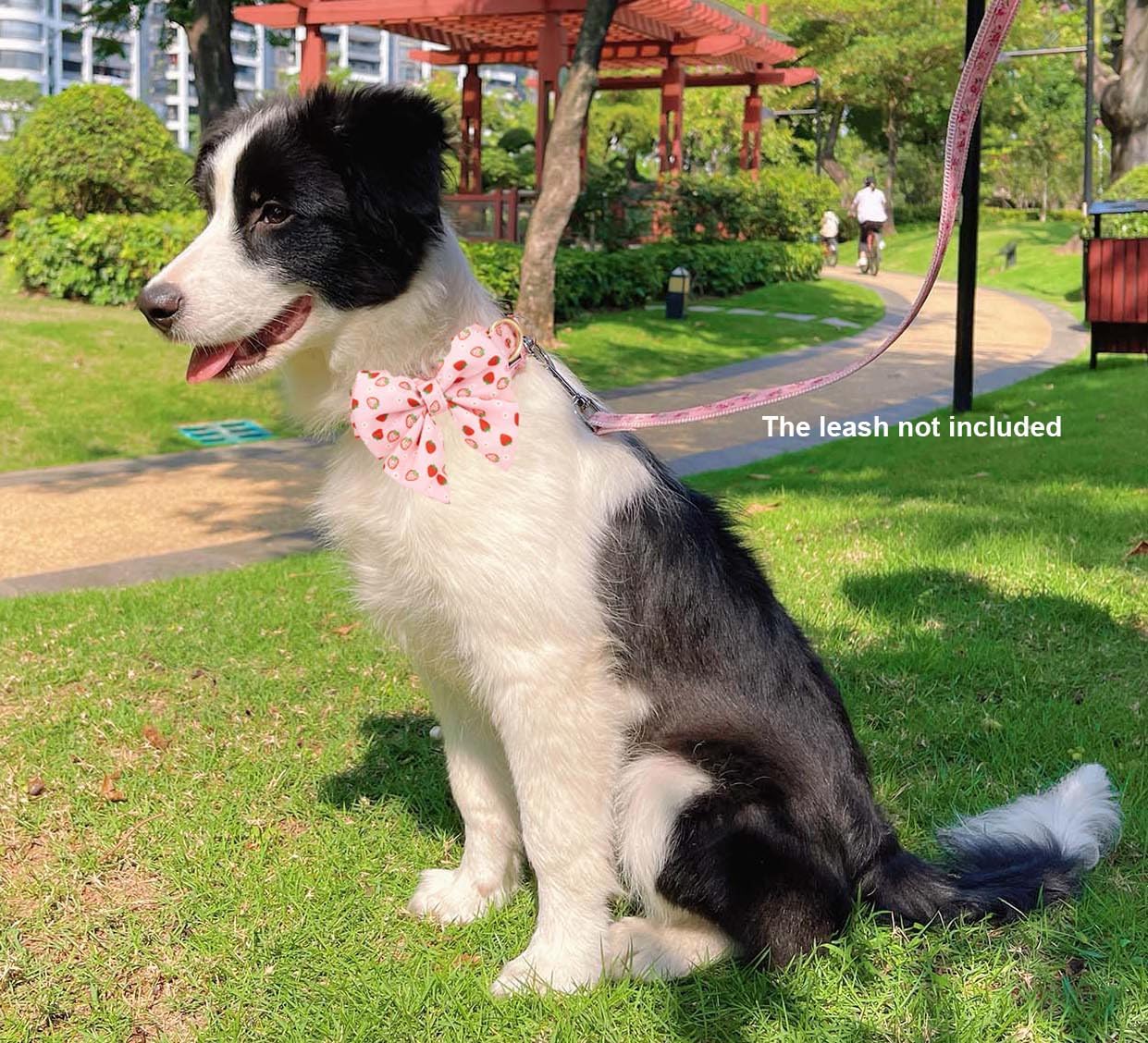 Detalle 2 de Petiry Pink Dog Collar with Bow Tie 1.5 cm