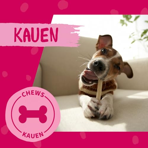 Detalle 2 de DOKAS Kaustange – Getreidefreier Premium-Kausnack für Hunde (9 x 200 g)