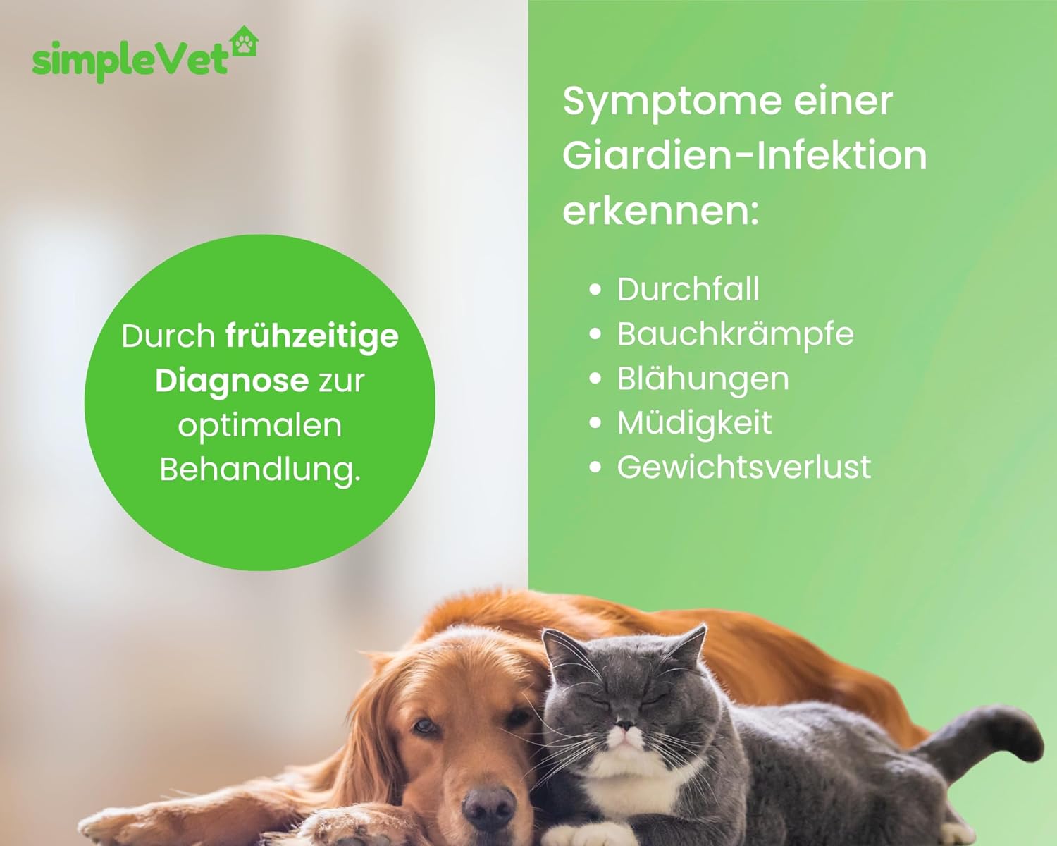 Thumbnail 5 de simple Vet Giardien Schnelltest 2 Tests