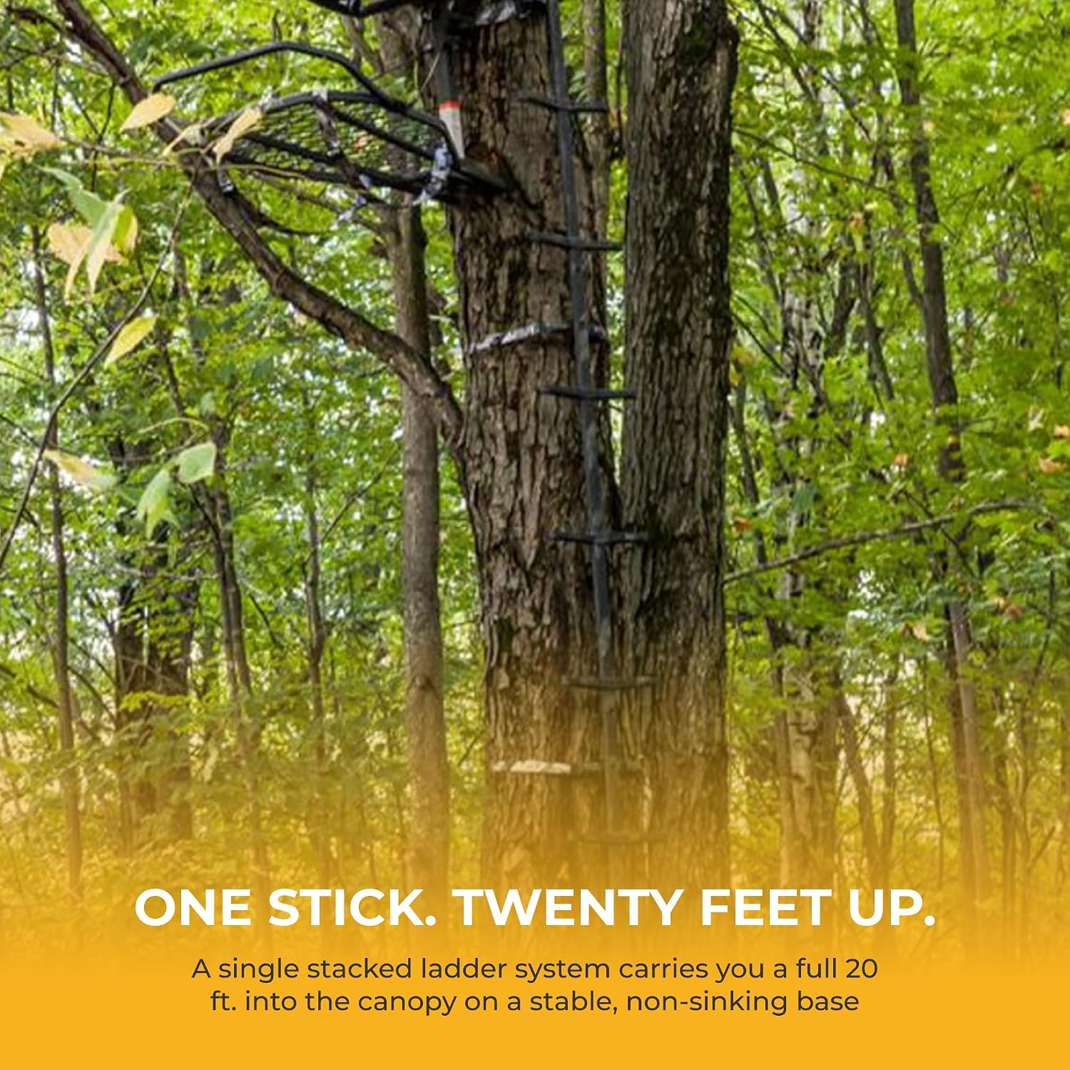 Detalle 2 de Hawk climbing sticks 1PL