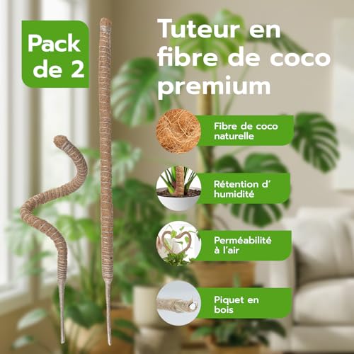 Detalle de Wigearss 2 Pièces Tuteur Plante Grimpante en Coco sur Piquet 60 cm – Support flexible pour Monstera et Vignes d’intérieur