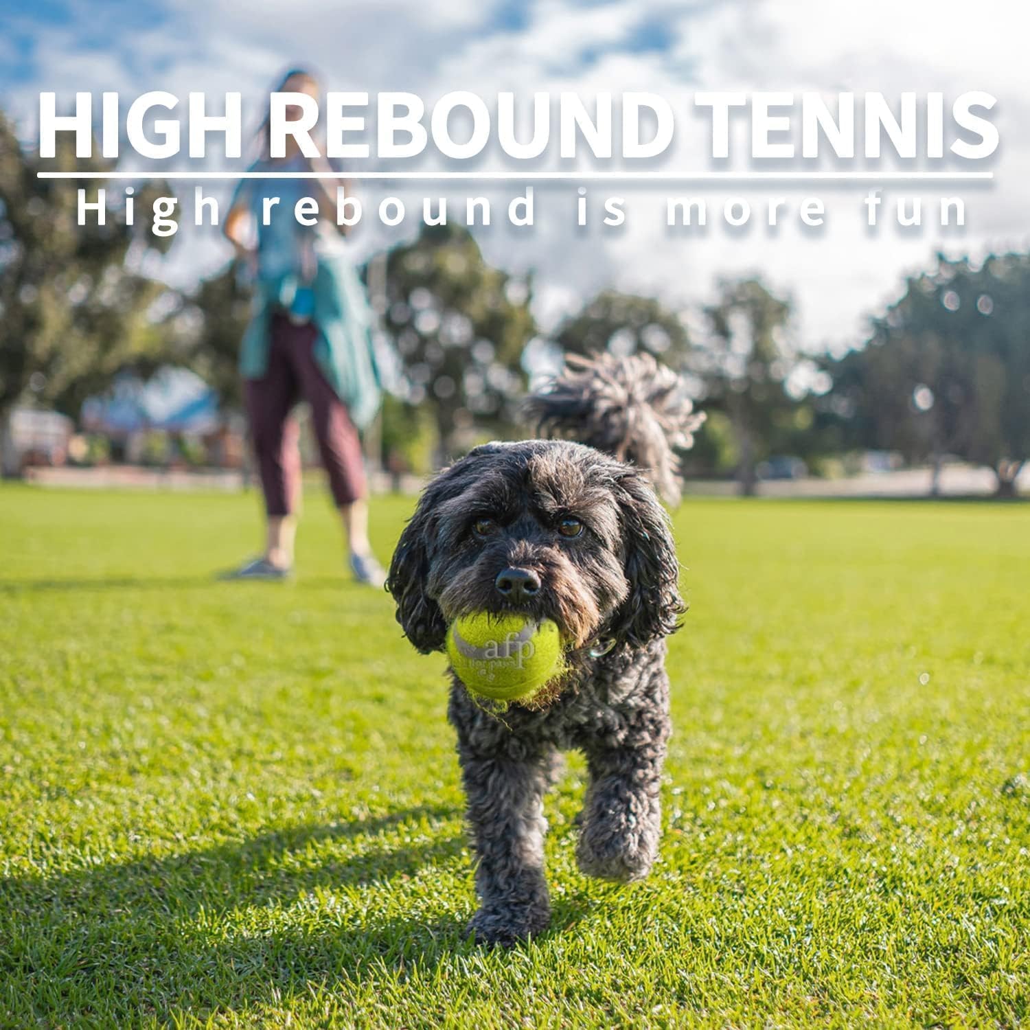 Detalle de ALL FOR PAWS Interactive Hyper Fetch Super Bounce Tennis Balls – Mini 6 Pack