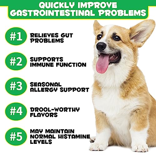 Thumbnail 3 de PLOBRT Probióticos 120 masticables para perros