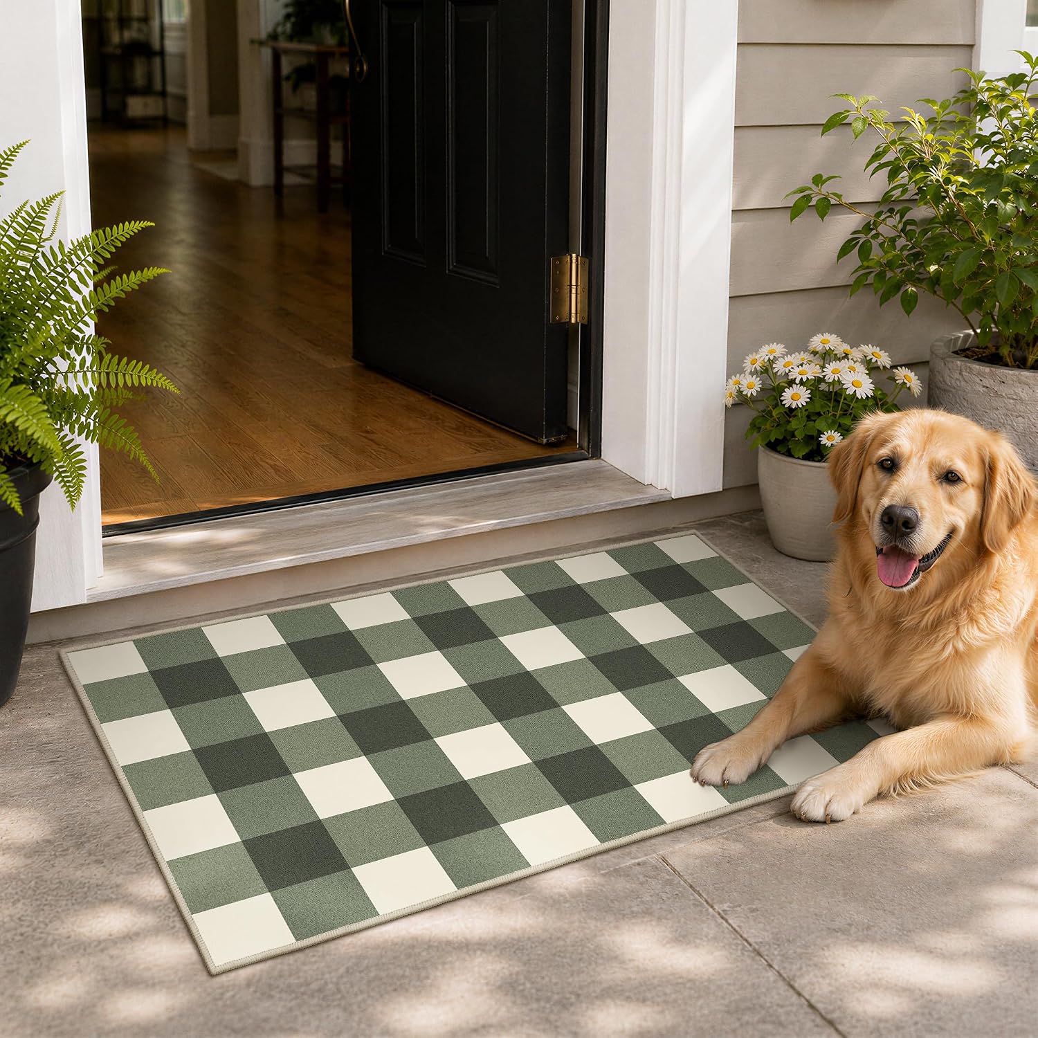 Detalle 2 de GENIMO 2.3 x 3.6 Rug, Sage Green Washable Outdoor Buffalo Check