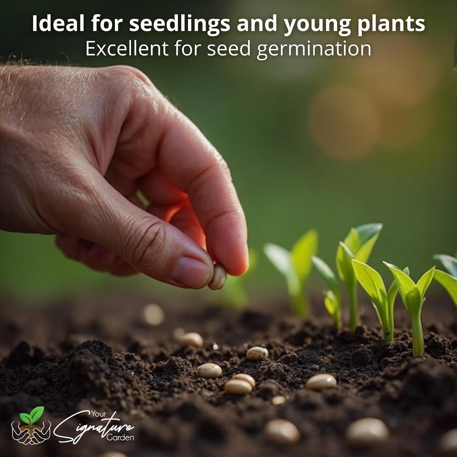 Thumbnail 1 de Laeto Top Soil 35L x 2: Rich Landscaping Soil for Plants, Lawns and Flowers