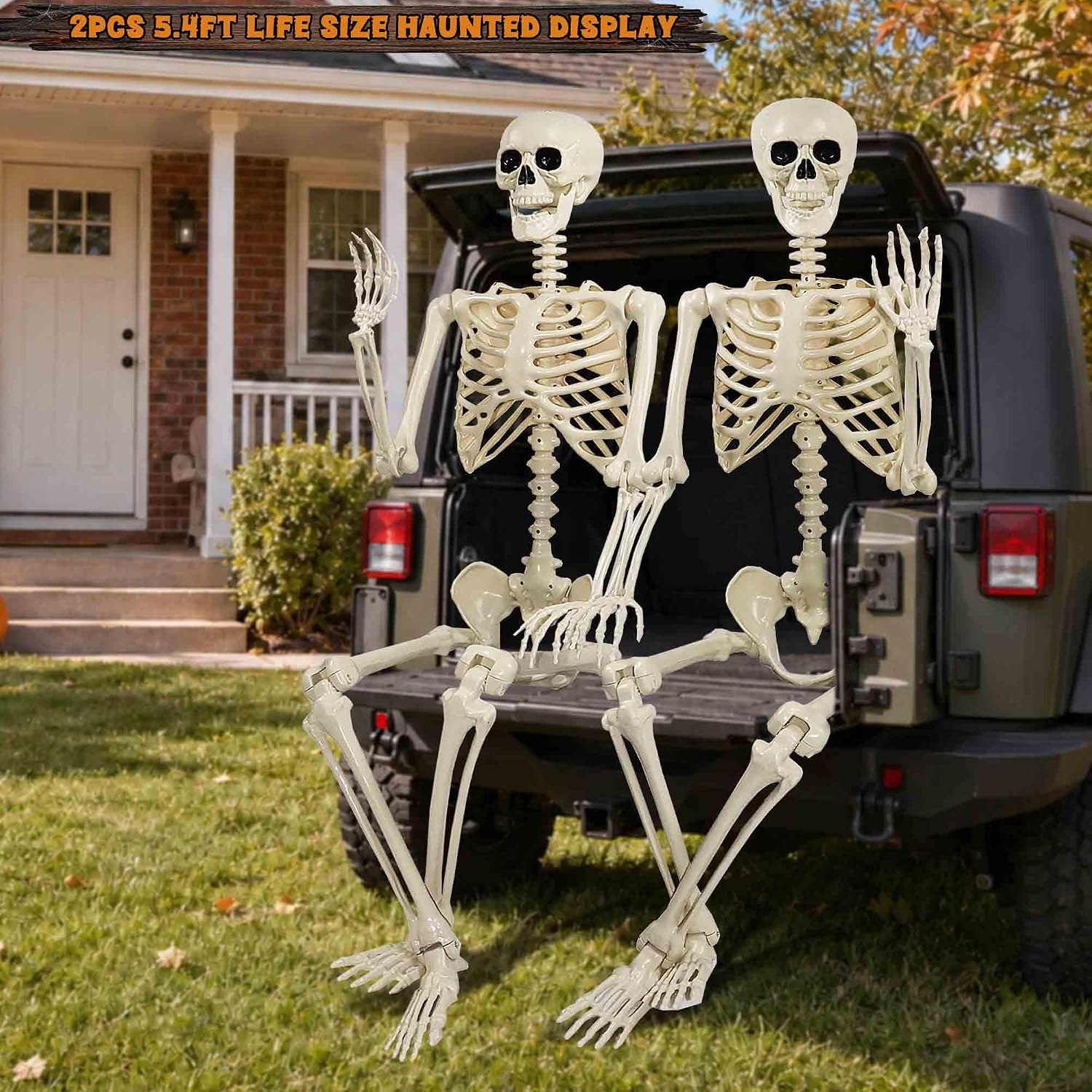 Thumbnail 6 de Znorso 5.4FT Halloween Skeleton 2-Pack, Posable Plastic Decorations
