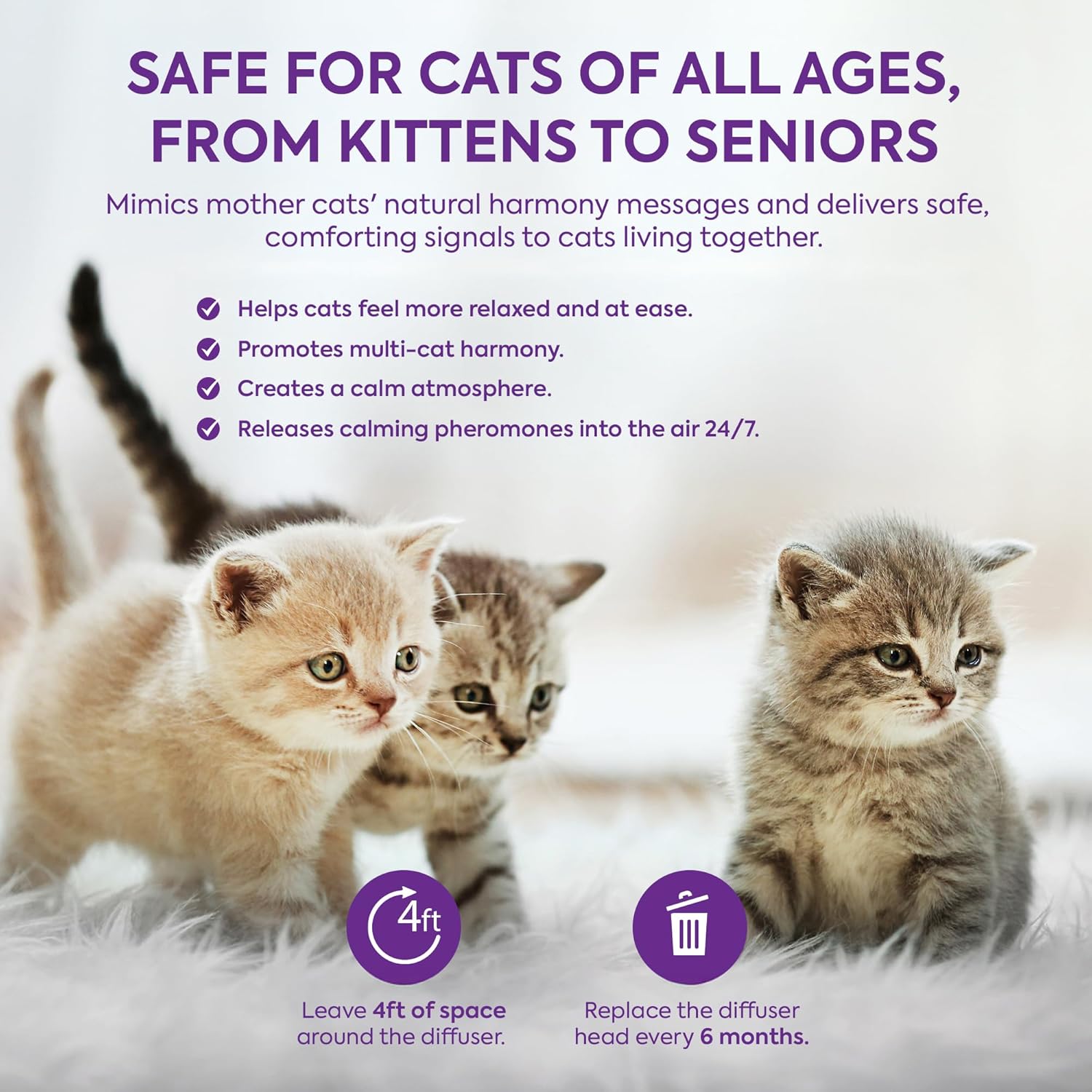 Thumbnail 4 de TopSum Cat Calming Plug-in 2-pack diffuser 🐱