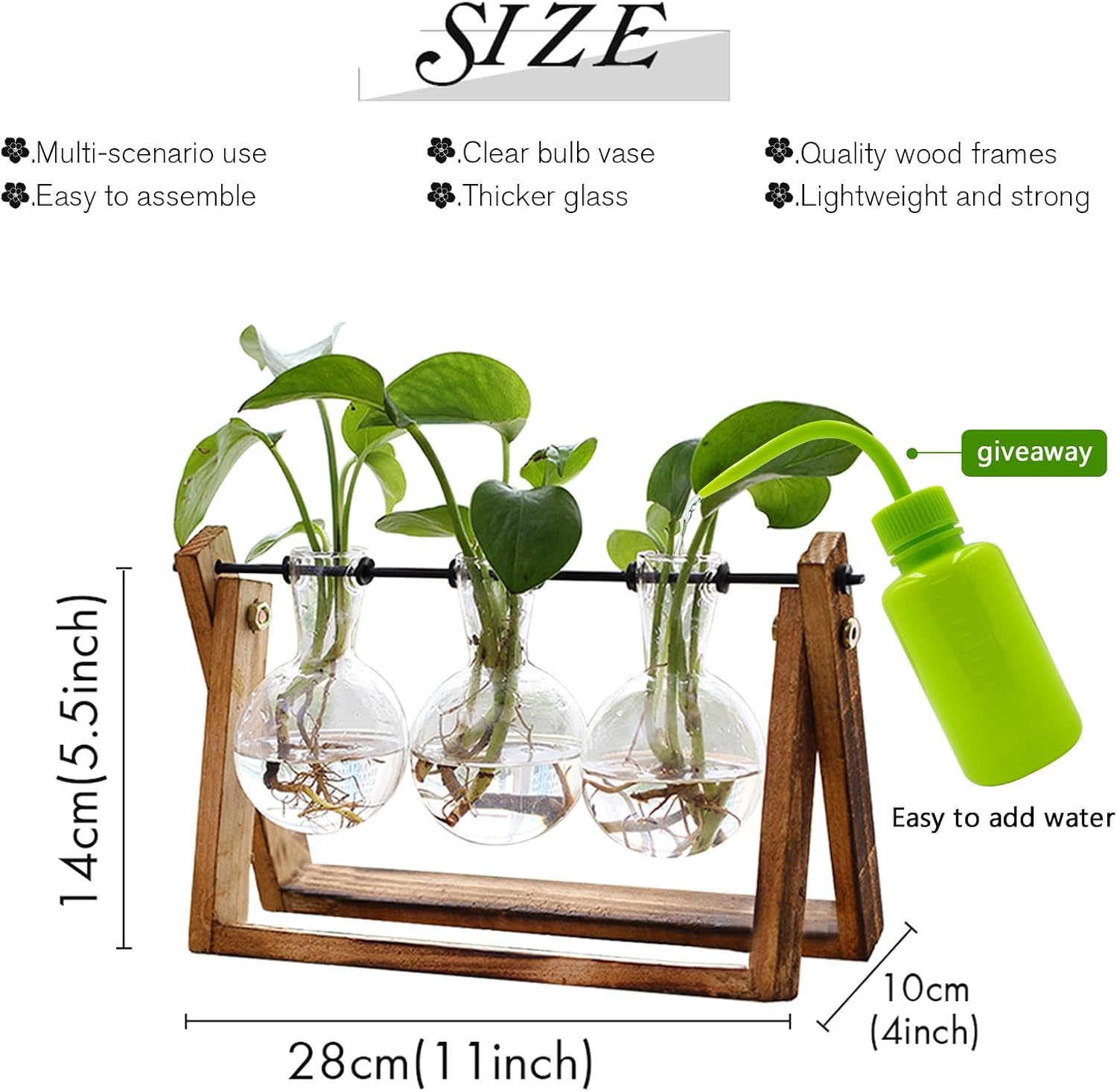 Detalle 2 de XXXFLOWER 3-Bulb Plant Terrarium with Wooden Stand and Glass Vases