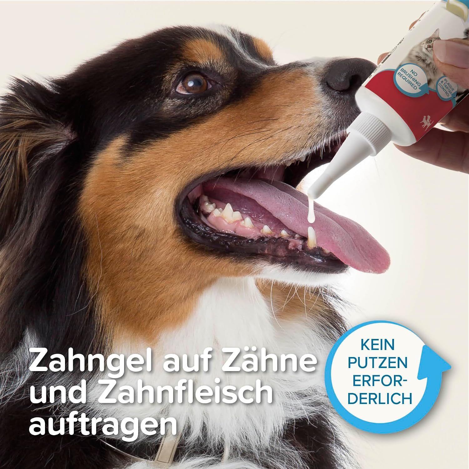 Detalle de Beaphar Zahngel, 100 g – Zahnpflege ohne Bürste für Hund und Katze