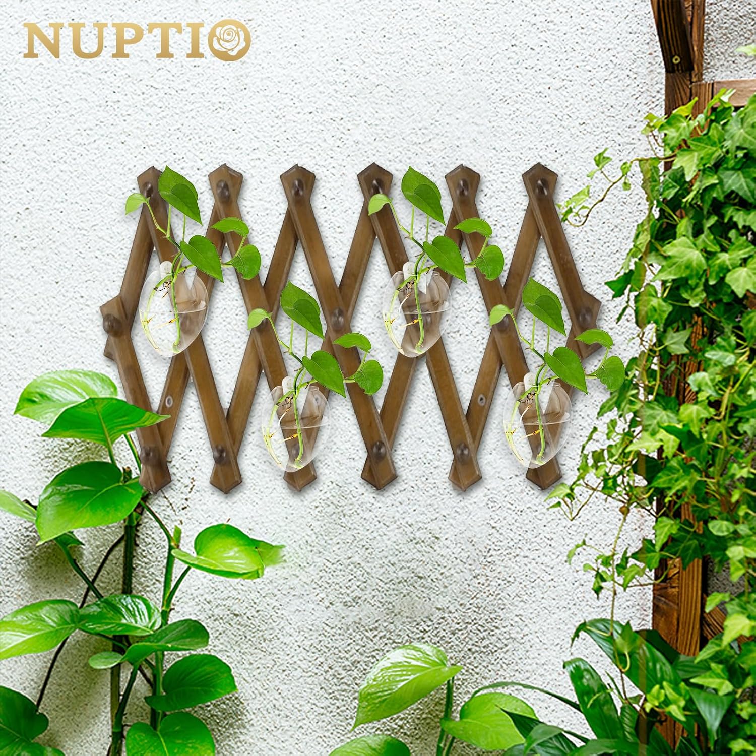 Detalle 2 de NUPTIO Vasi da Parete per Piante sospese Set da 4