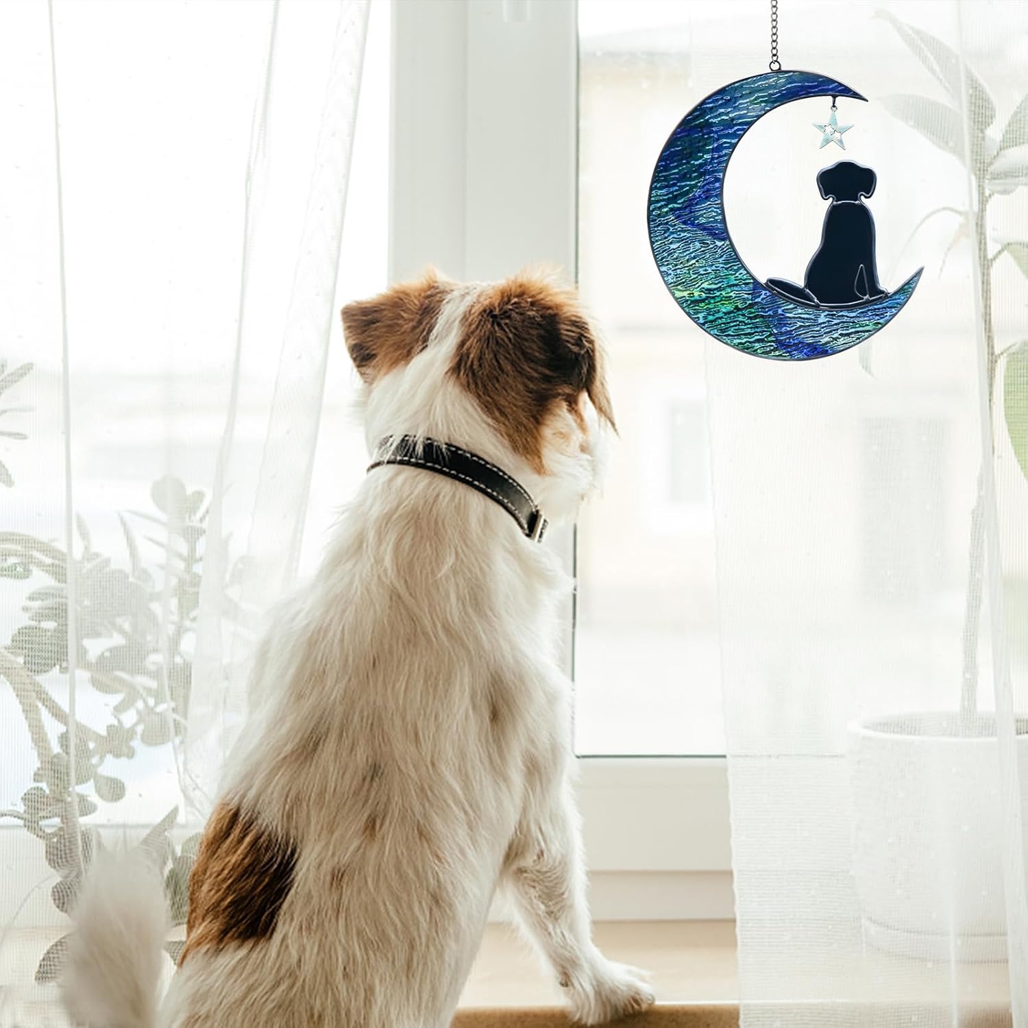 Detalle 2 de Gedenkglas „Mond“ für Hundeverlust 🌙🕊