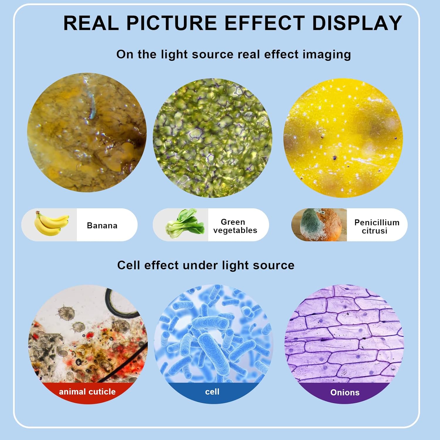 Thumbnail 4 de Trinocular Microscope 40X–5000X with HD USB Camera