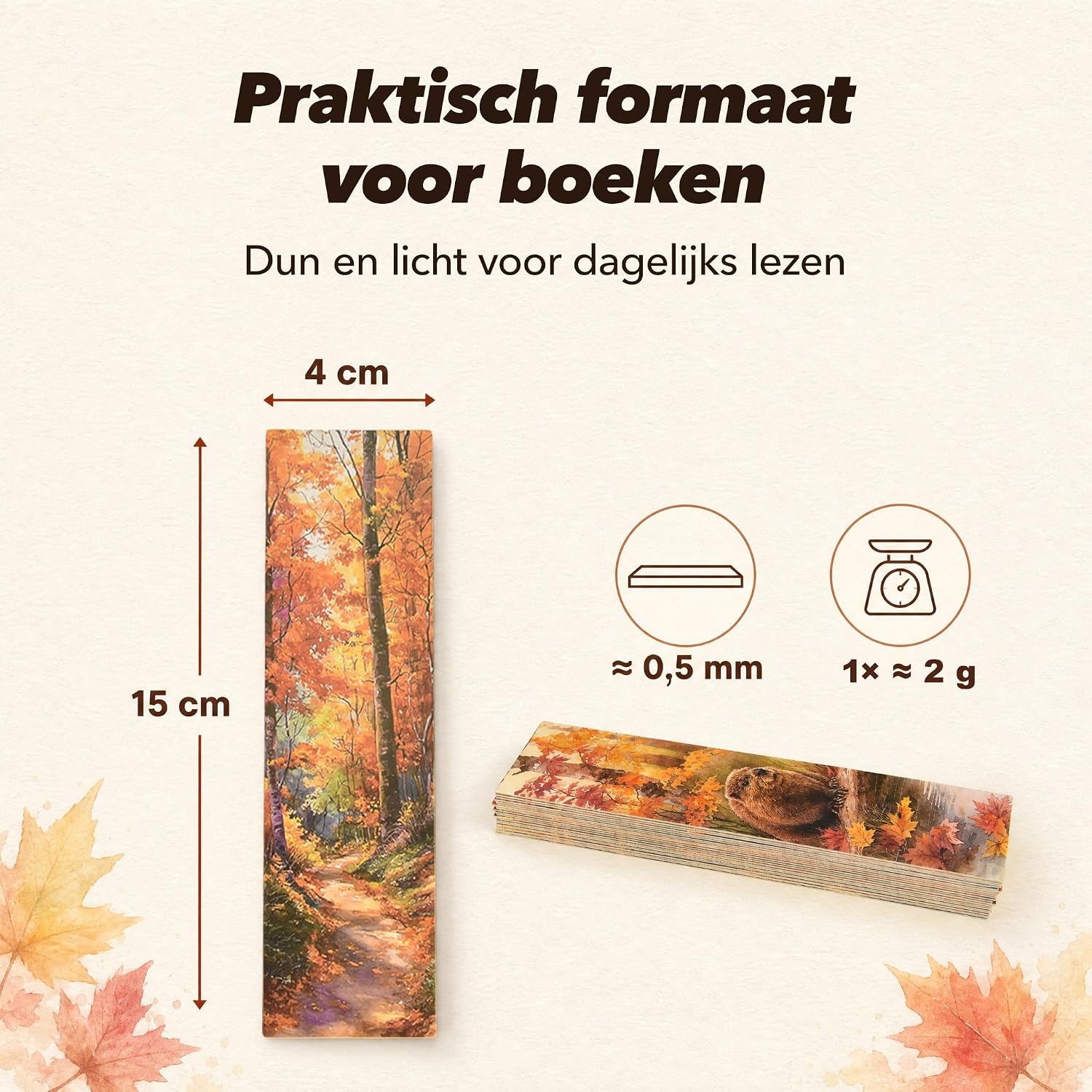 Detalle 2 de ASSZBE BM2026-3 herfstboekenleggers van karton, 30 verschillende ontwerpen
