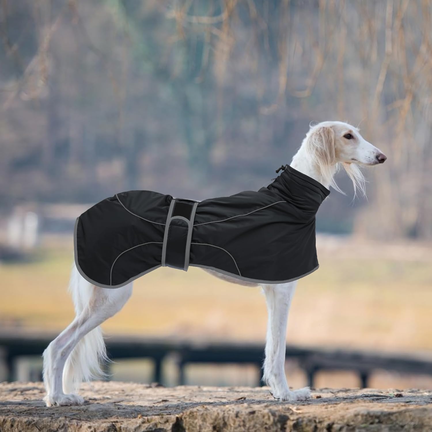 Thumbnail 6 de Morezi Greyhound Winter Coat for Whippets & Lurchers (Water-resistant, reflective) – Black – XXXLarge