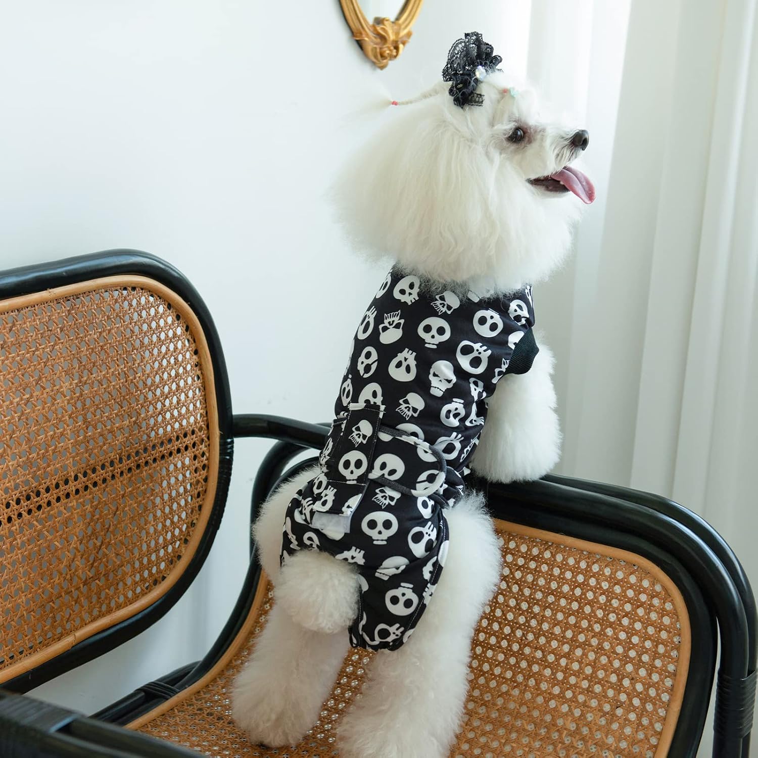 Detalle de CuteBone Dog Recovery Suit SSF05L