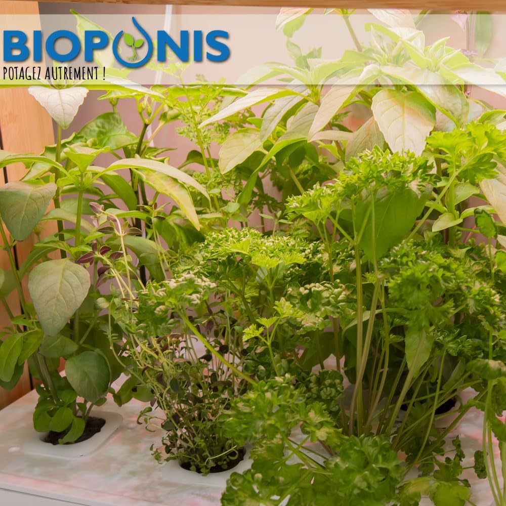 Detalle de Bioponis Bamboo 1 – hydroponiczny ogród do ziół, LED, bambus, 8 miejsc