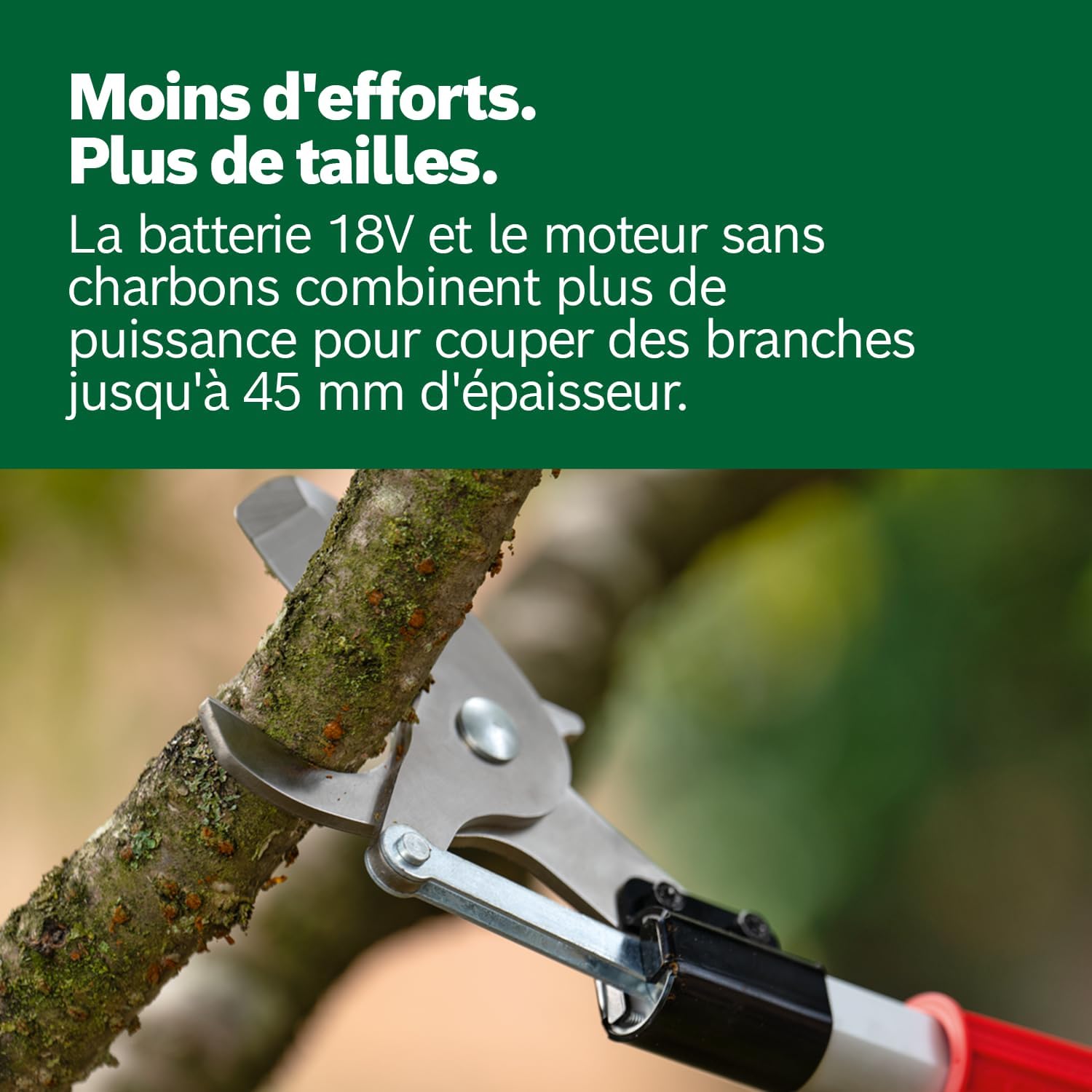 Thumbnail 4 de Sécateur sans fil Bosch AdvancedPrune 18V-45 avec barre d’extension (jusqu’à 45 mm)
