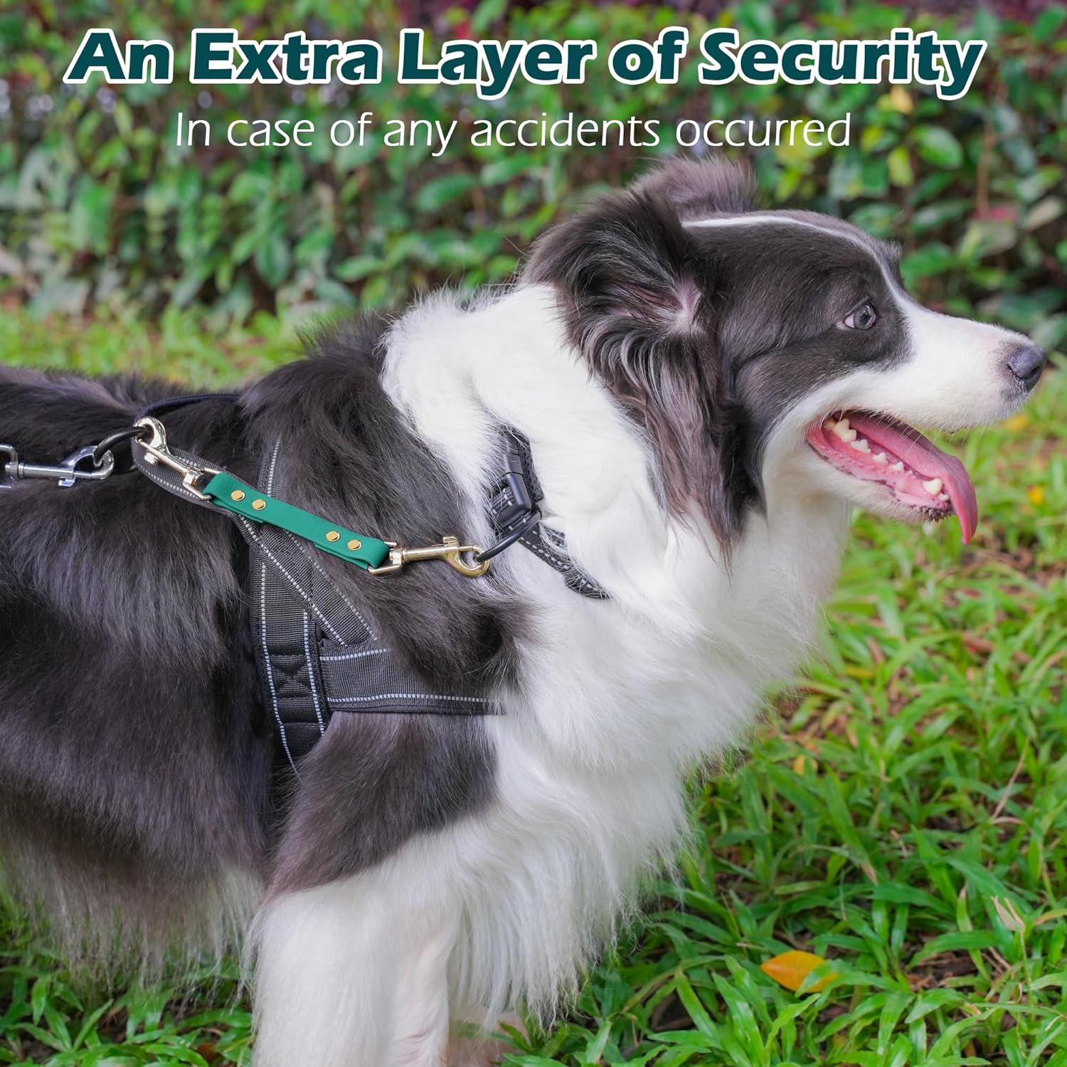 Thumbnail 3 de PetBonus Dog Collar Safety Clip – Waterproof backup safety strap for harness and training leads (Green)