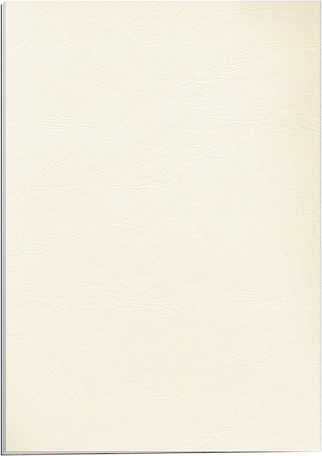 Thumbnail 1 de Fellowes 5370004 – Pack de 100 Couvertures Grain Cuir A4 Ivoire