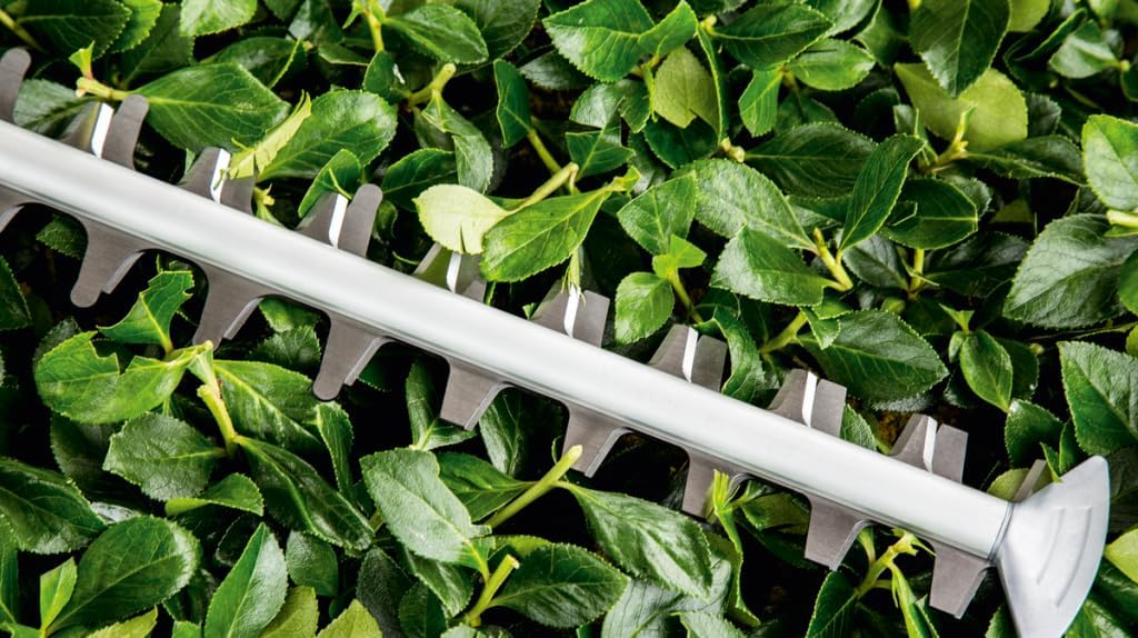 Thumbnail 3 de Bosch UniversalHedgeCut 60: tagliasiepi elettrico per siepi medie, barra da 60 cm