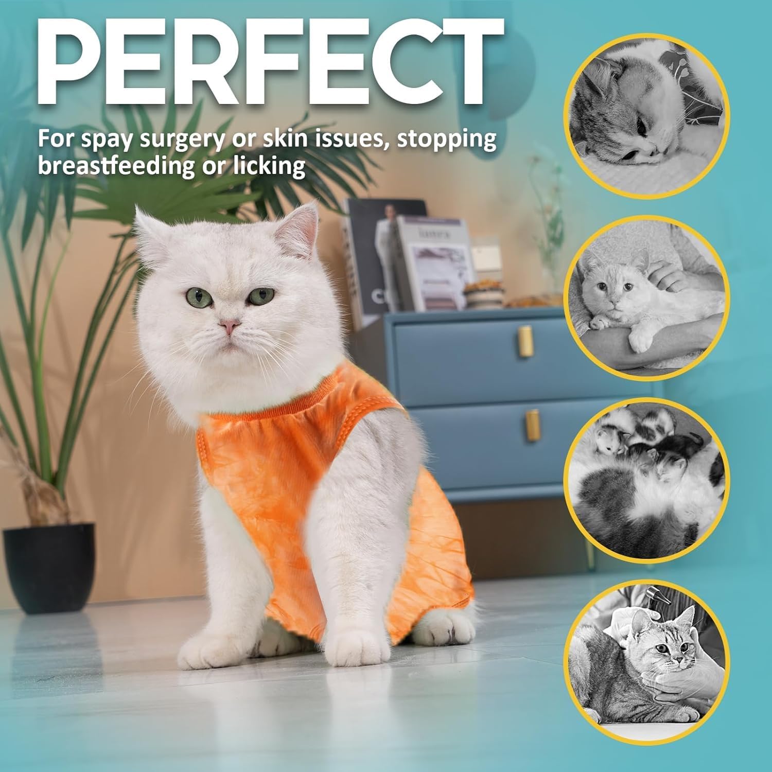 Detalle de Avont Katzenbody nach OP Erholungsanzug | Modal Recovery Suit für Katzen
