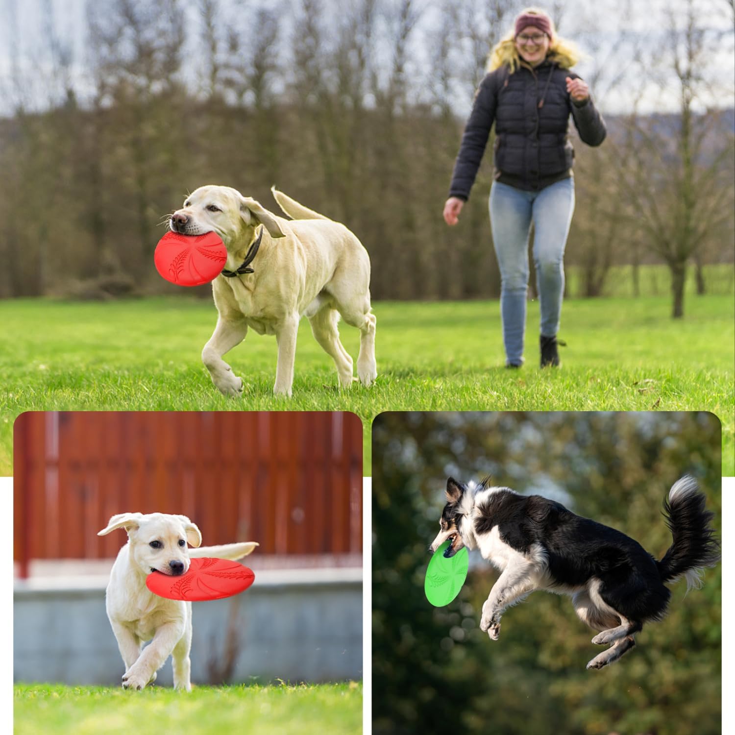 Thumbnail 6 de Nobleza Frisbee per Cani 20 cm