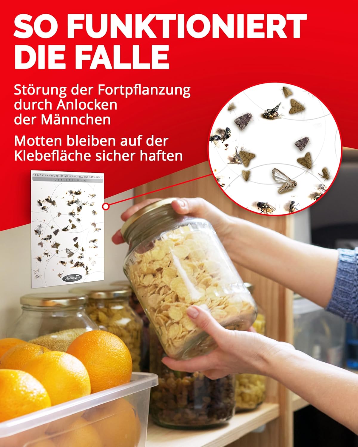 Detalle 1 de AEROXON Lebensmittelmotten Falle 6 Stück