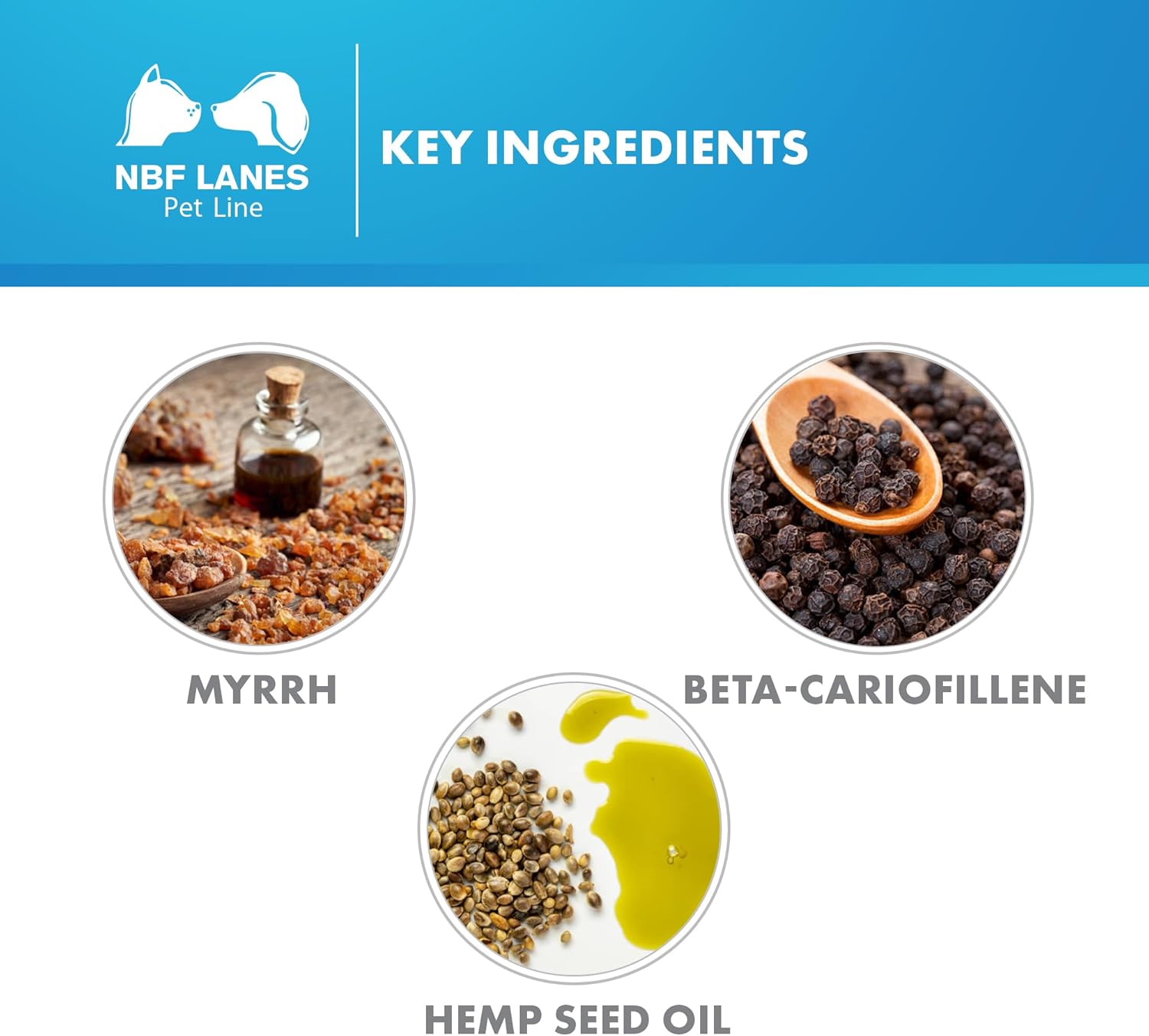 Detalle de NBF Lanes | Perognidol FORTE Chien et Chat, 40 perles — soutien de la nociception et de la fonction endocannabinoïde