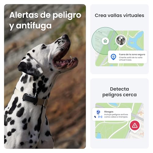Thumbnail 3 de Tractive GPS perros 2025 Edición