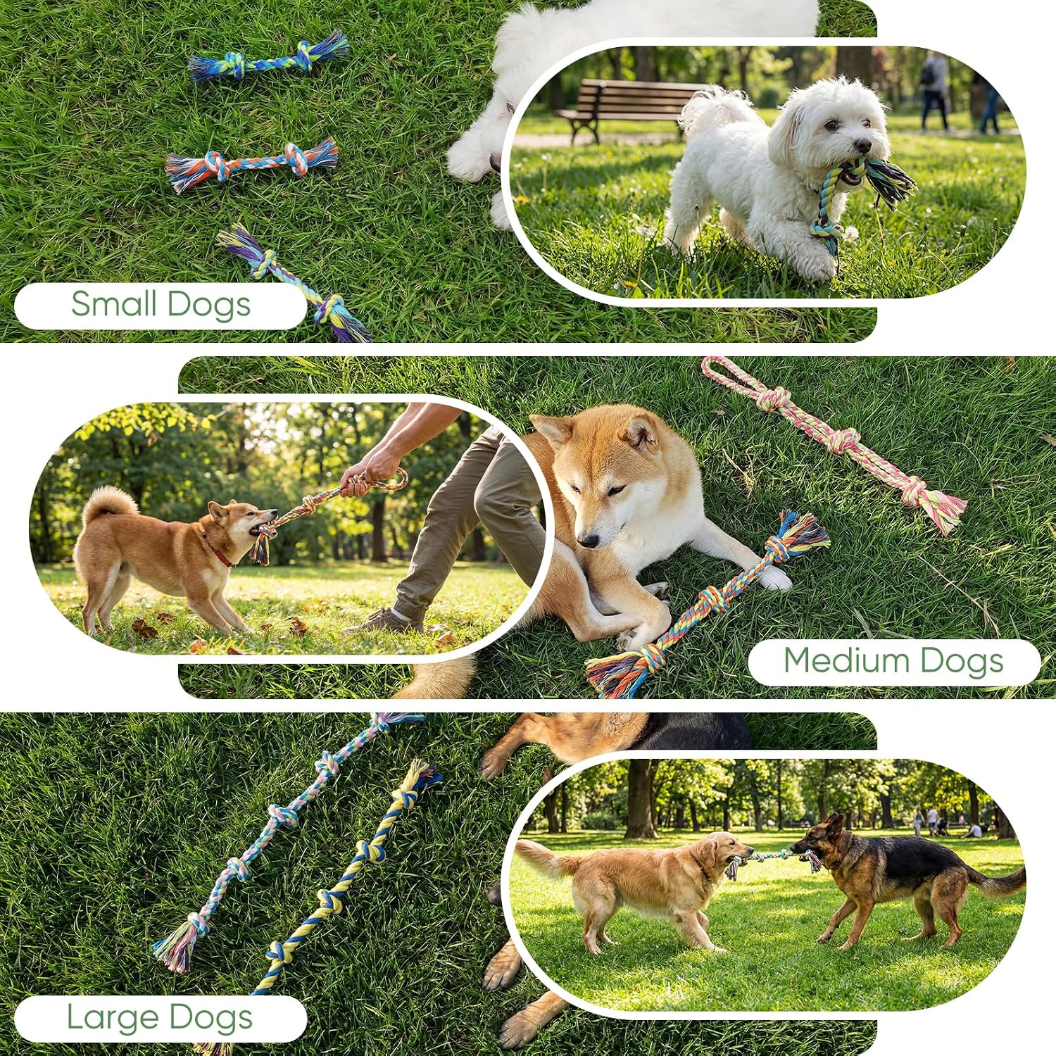 Thumbnail 6 de Aitmexcn 10 Pack Rope Toys for Small and Medium Dogs