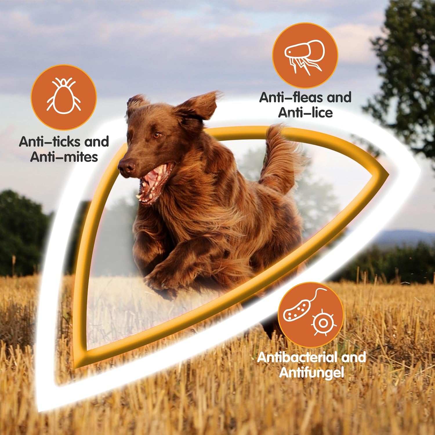 Detalle 2 de Nobleza Hundeshampoo 500 ml gegen Juckreiz đŸ