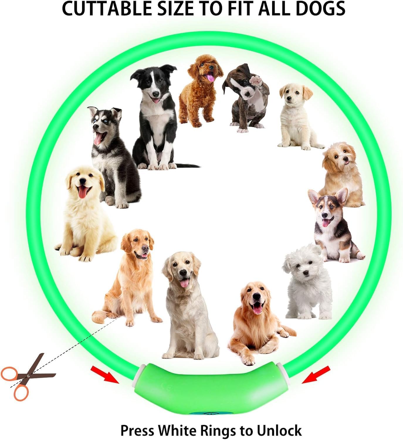 Thumbnail 3 de Novkin LED Dog Collar 2-Pack for Night Walks