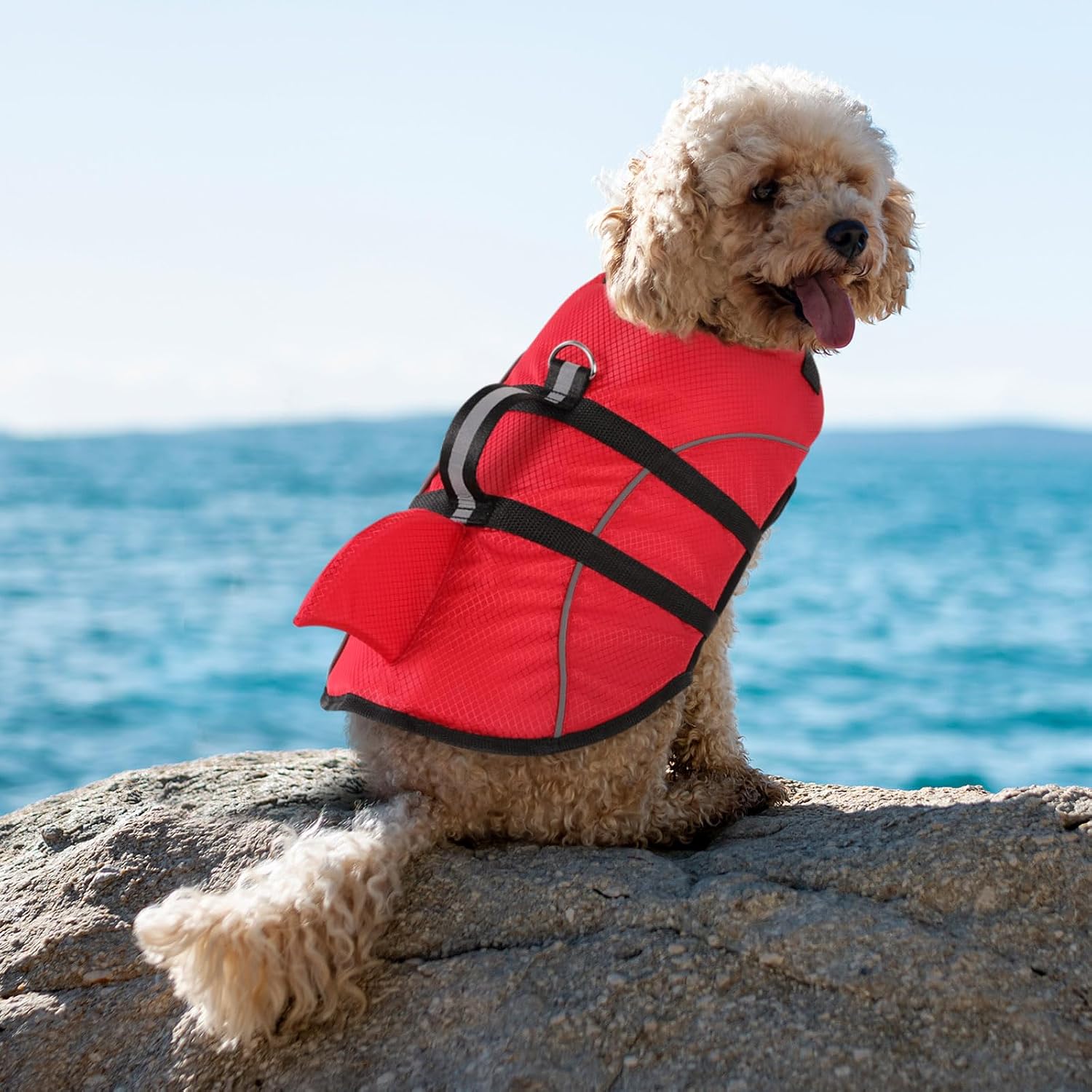 Detalle 2 de Queenmore Small Dog Life Jacket: Shark-Style Buoyancy for Safe Water Fun