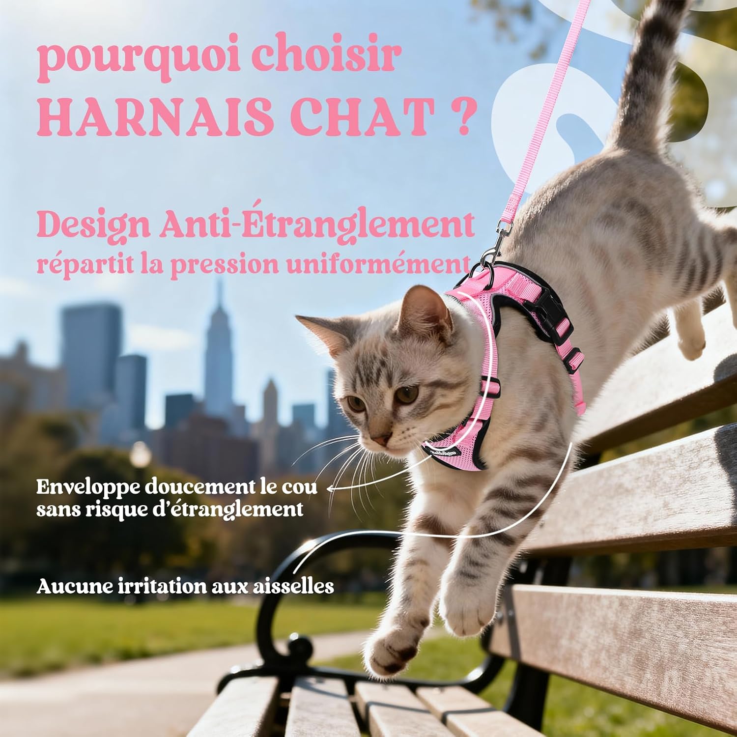 Detalle de Rabbitgoo Harnais Chat Petit Chien et Laisse – XS Rose, Réglable et Réfléchissant