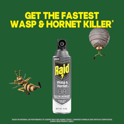Detalle de Raid Wasp & Hornet Killer Spray — 2-Pack, 14 oz Each (Kills Entire Nest)
