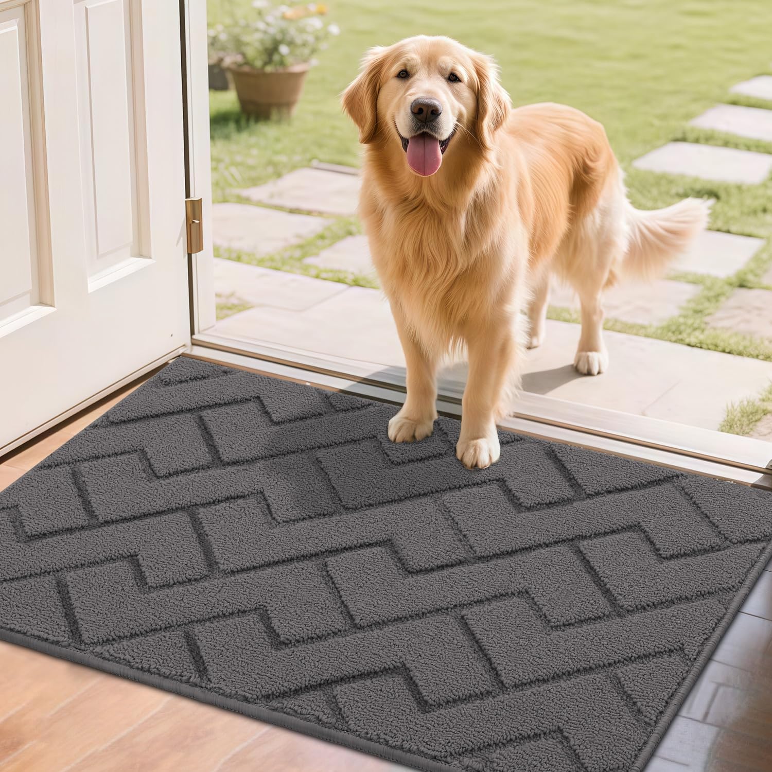 Biscpro Tapis de porte paillasson 60x90 cm antidérapant et absorbant gris, intérieur & extérieur