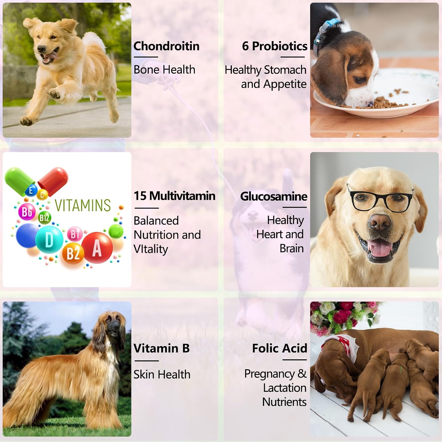 Thumbnail 6 de Gotas multivitamínicas 15‑en‑1 para perros