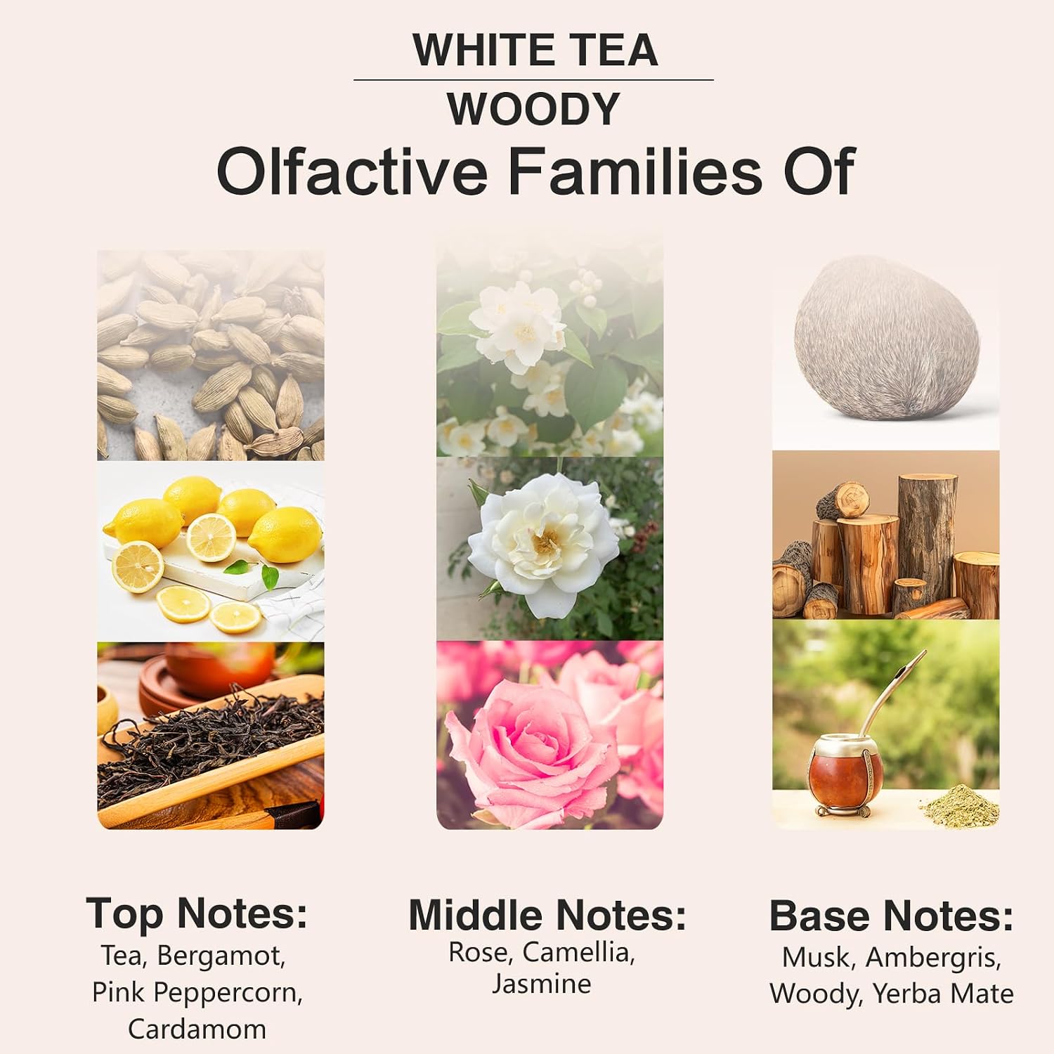 Thumbnail 3 de PHATOIL White Tea Fragrance Oils for Aromatherapy and DIY Projects
