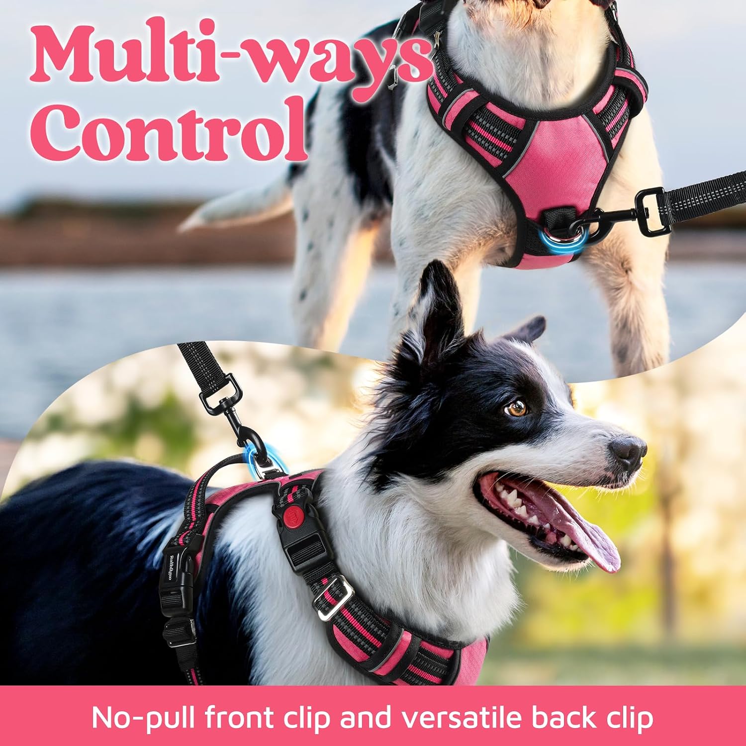 Detalle de rabbitgoo Dog Harness, Large