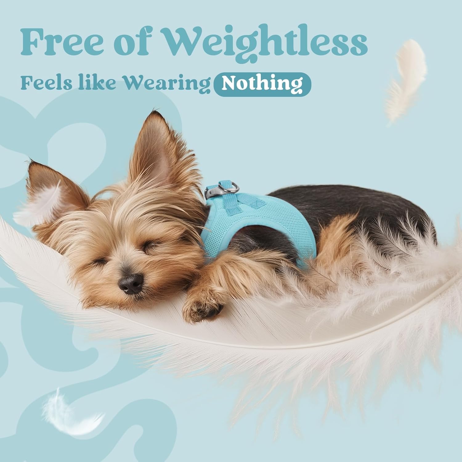 Detalle de rabbitgoo Dog Harness Small Dog Step-in Soft Mesh Puppy Harness (Mint Blue, S)