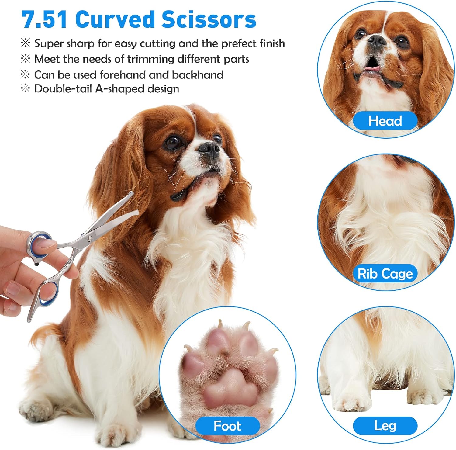 Thumbnail 5 de Bubuxy Pet Grooming Scissors set of 2 ✂